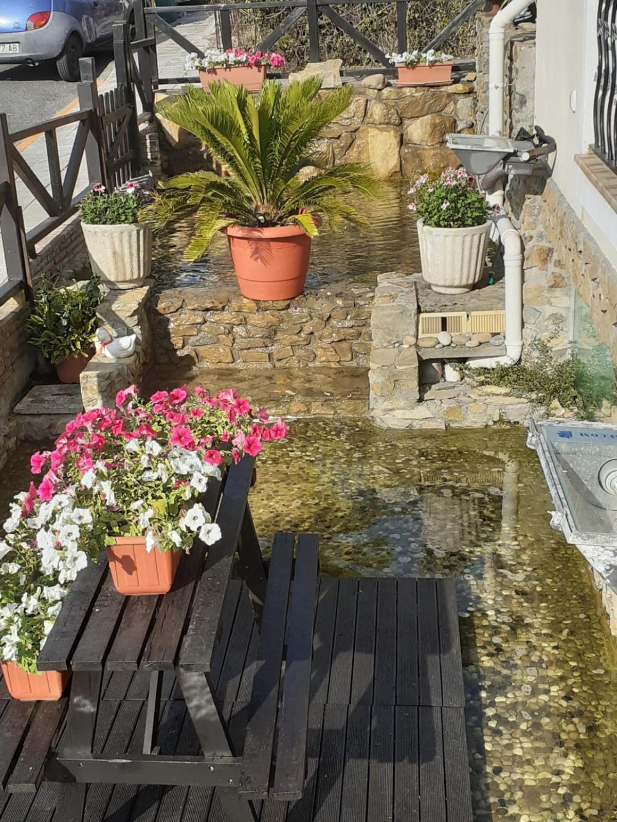 מלון Agua Viva Eco H Wellness קסטרו אורדיאלס מראה חיצוני תמונה